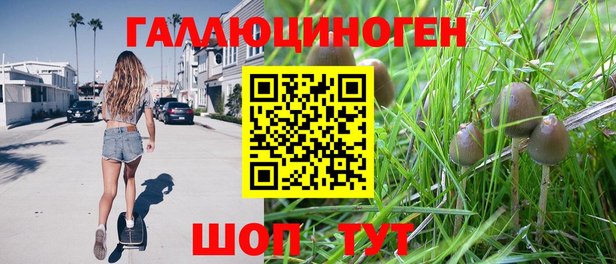 Галлюциногенные грибы прущие грибы Воронеж