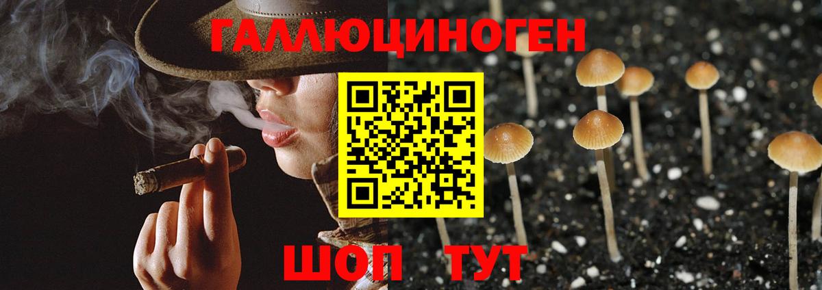 даркнет сайт  Вход с VPN  Воронеж  Галлюциногенные грибы Psilocybe 